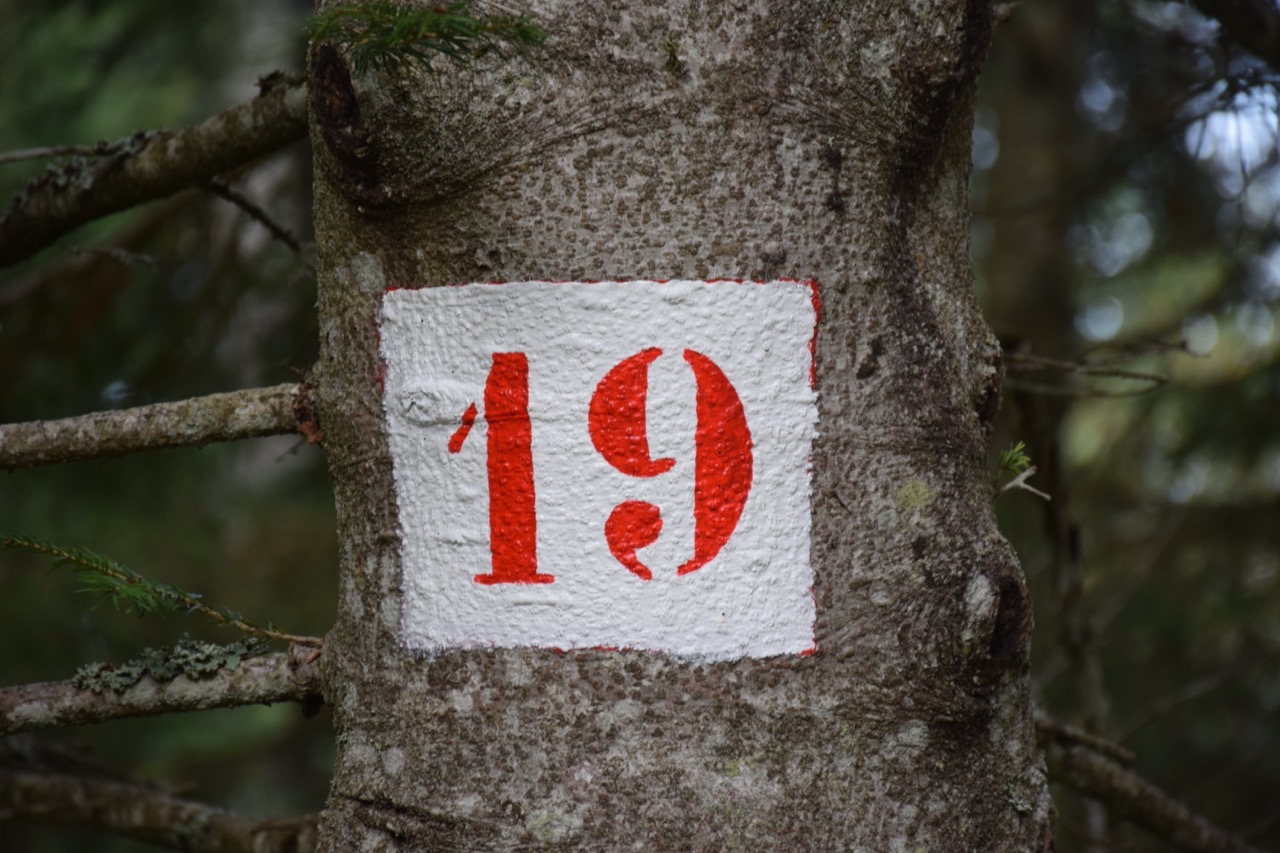 19